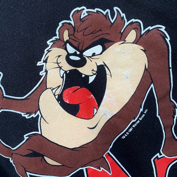 Taz 1991 Warner Bros Sweatshirt - Picture 2 of 4